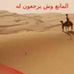 المانع وش يرجعون .. أصل قبيلة المناع من وين