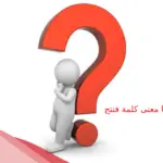 ما معنى كلمة فنتج بالعربي وعلى ماذا تدل؟